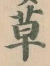 草 위치 확인됨