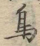 鳥 위치 확인됨