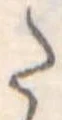 𛁠 위치 확인됨