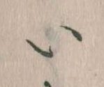 𛀆 위치 확인됨