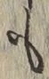글자 も