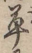 草 위치 확인됨