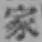 글자 家