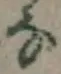 글자 な