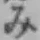 글자 み