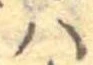 𛂞 위치 확인됨