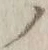 字ノ