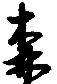 森 위치 확인됨