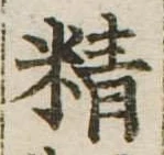 精 위치 확인됨