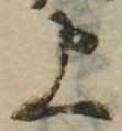 位置 確認된 上
