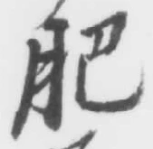 文字肥