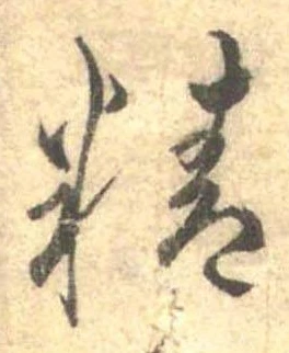 精 위치 확인됨