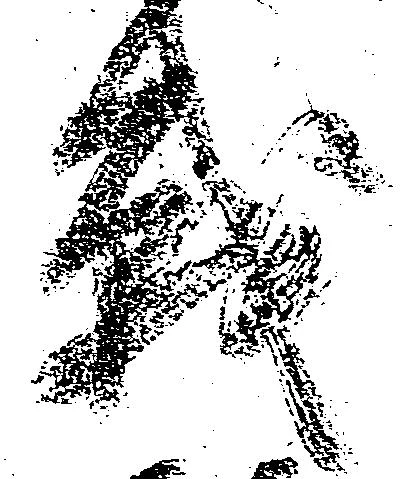 Đã định vị 戦