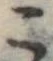 미지정 위치 확인됨