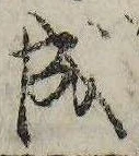位置 確認된 成