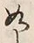 文字如