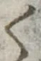 位置 確認된 く