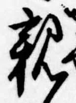 位置定マレル親