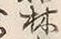 글자 林