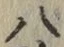 글자 八