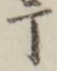 「丁」字