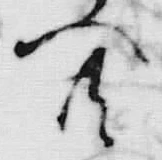 Chữ 共
