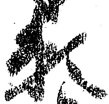 已定位頼