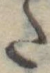 𛁠 위치 확인됨
