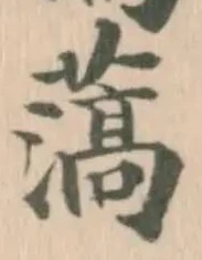 薃の位置