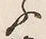 「ふ」字