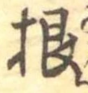 根 위치 확인됨