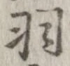 羽の位置