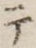 テ 위치 확인됨
