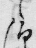 字て
