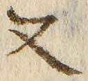 「又」字