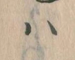 已定位𛂞