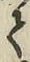 字て