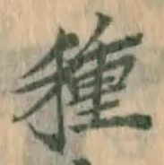 글자 種
