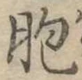 Đã định vị 胞