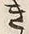 文字 き