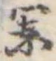 闌 위치 확인됨