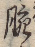 Đã định vị 腕