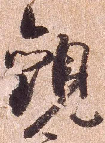 已定位観