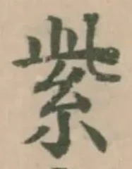 紫 위치 확인됨
