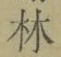 Character 林
