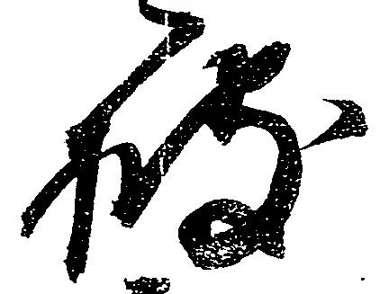 披の位置