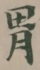 Located 胃