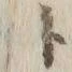 字ト