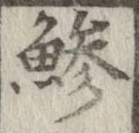 鯵の位置