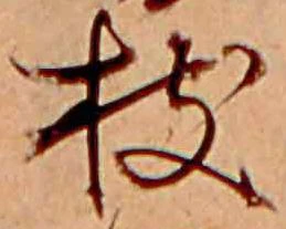 已定位枝